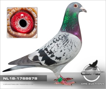 Fd9a44b4 1f86 4c71 ae7c c7cf554b7363